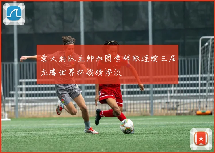 意大利队主帅加图索辞职连续三届无缘世界杯战绩惨淡